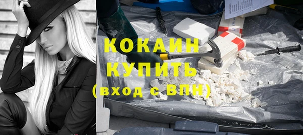 твердый Алзамай